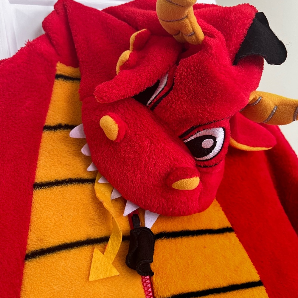 Dragon costume for Halloween